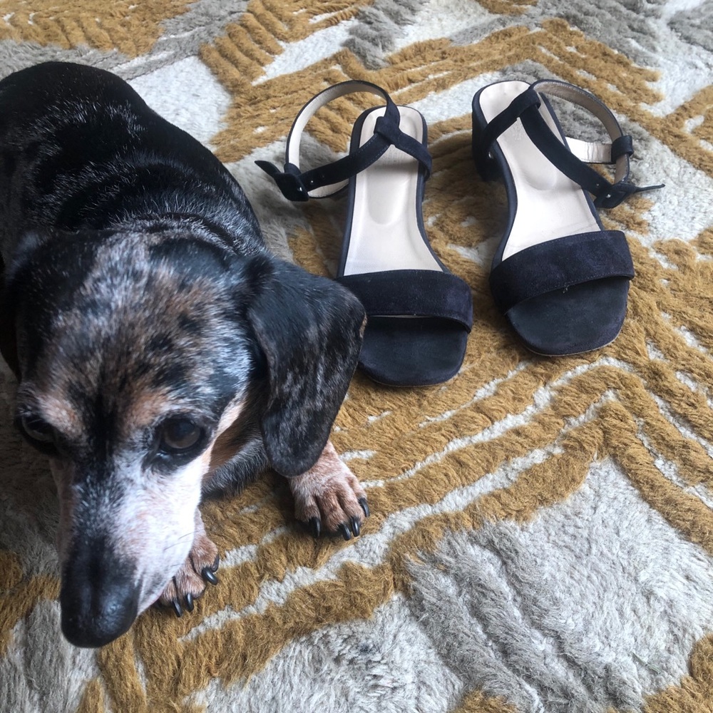 MARYAM NASSIR ZADEH SANDAL